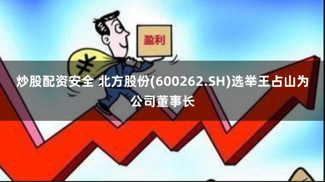 炒股配资安全 北方股份(600262.SH)选举王占山为公司董事长