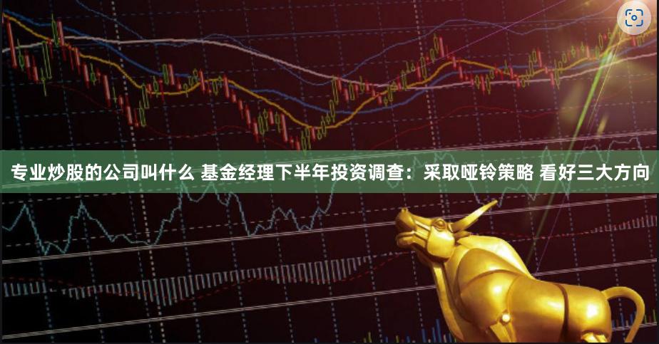 专业炒股的公司叫什么 基金经理下半年投资调查：采取哑铃策略 看好三大方向