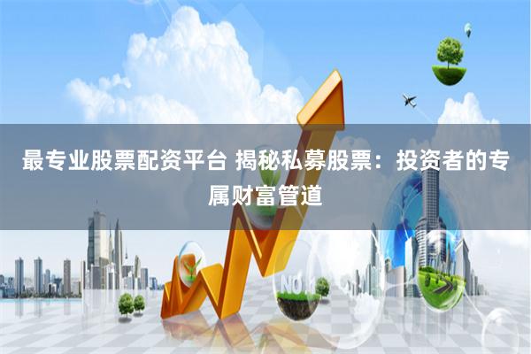 最专业股票配资平台 揭秘私募股票：投资者的专属财富管道